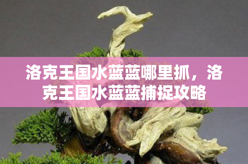 洛克王国水蓝蓝哪里抓,洛克王国水蓝蓝捕捉攻略 洛克王国水蓝蓝哪里抓,洛克王国水蓝蓝捕捉攻略