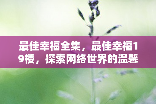 最佳幸福全集，最佳幸福19楼，探索网络世界的温馨角落