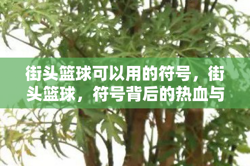 街头篮球可以用的符号，街头篮球，符号背后的热血与梦想