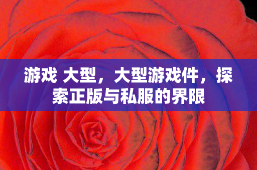 游戏 大型，大型游戏件，探索正版与私服的界限