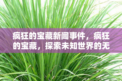 疯狂的宝藏新闻事件,疯狂的宝藏,探索未知世界的无尽财富 疯狂的宝藏新闻事件,疯狂的宝藏,探索未知世界的无尽财富