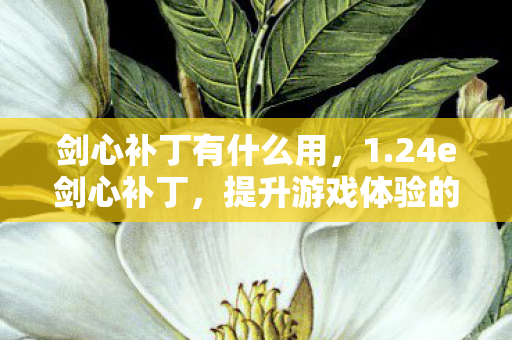 剑心补丁有什么用，1.24e剑心补丁，提升游戏体验的必备神器