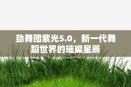劲舞团紫光5.0，新一代舞蹈世界的璀璨星辰