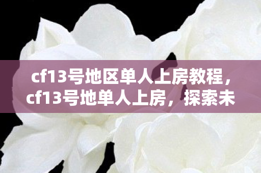 cf13号地区单人上房教程，cf13号地单人上房，探索未知的挑战与乐趣