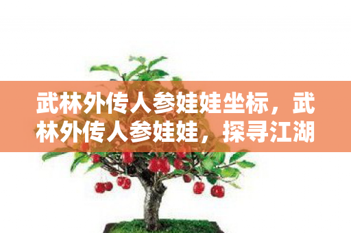 武林外传人参娃娃坐标，武林外传人参娃娃，探寻江湖中的神秘传说