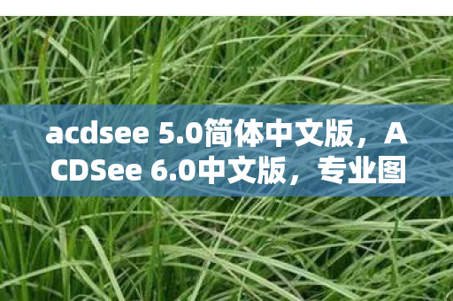 acdsee 5.0简体中文版，ACDSee 6.0中文版，专业图片管理新体验