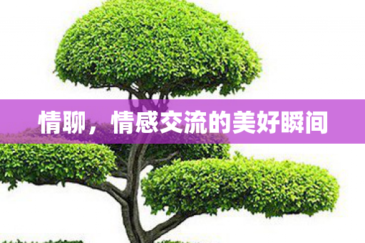 情聊，情感交流的美好瞬间