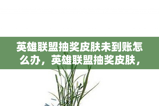 英雄联盟抽奖皮肤未到账怎么办，英雄联盟抽奖皮肤，解锁幸运，探索无限可能