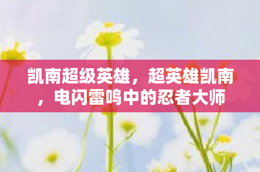 凯南超级英雄，超英雄凯南，电闪雷鸣中的忍者大师