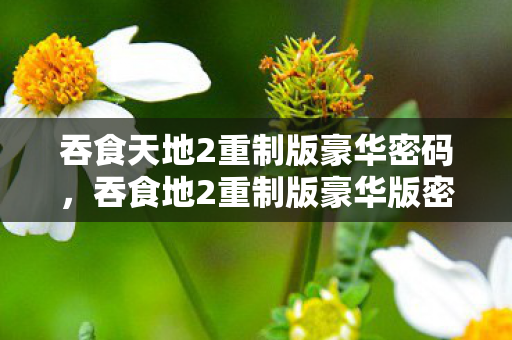 吞食天地2重制版豪华密码，吞食地2重制版豪华版密码揭秘，解锁游戏新世界的钥匙