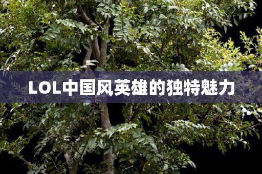 LOL中国风英雄的独特魅力