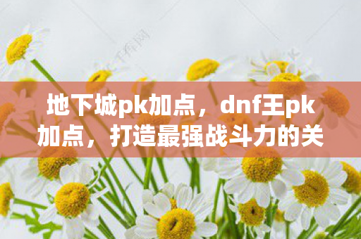 地下城pk加点,dnf王pk加点,打造最强战斗力的关键 地下城pk加点,dnf王pk加点,打造最强战斗力的关键