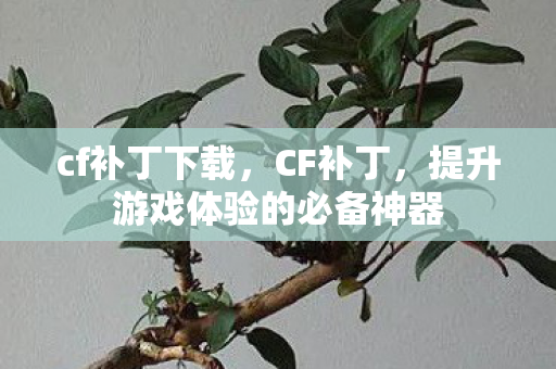 cf补丁下载,CF补丁,提升游戏体验的必备神器 cf补丁下载,CF补丁,提升游戏体验的必备神器