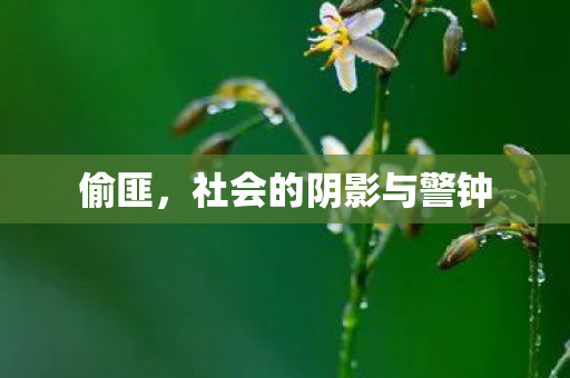 偷匪，社会的阴影与警钟