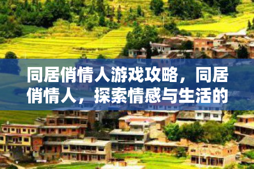 同居俏情人游戏攻略，同居俏情人，探索情感与生活的微妙平衡