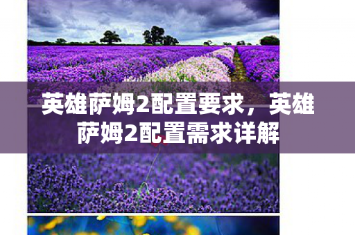 英雄萨姆2配置要求,英雄萨姆2配置需求详解 英雄萨姆2配置要求,英雄萨姆2配置需求详解