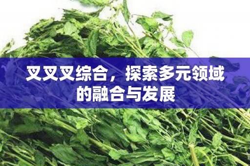 叉叉叉综合，探索多元领域的融合与发展