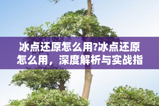 冰点还原怎么用?冰点还原怎么用，深度解析与实战指南