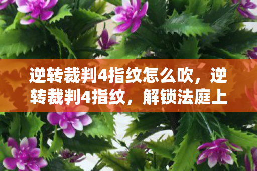 逆转裁判4指纹怎么吹,逆转裁判4指纹,解锁法庭上的真相之谜 逆转裁判4指纹怎么吹,逆转裁判4指纹,解锁法庭上的真相之谜