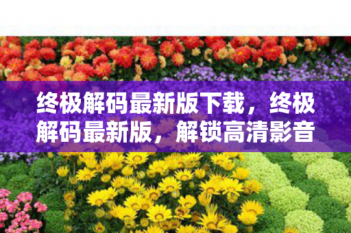 终极解码最新版下载,终极解码最新版,解锁高清影音的无限可能 终极解码最新版下载,终极解码最新版,解锁高清影音的无限可能