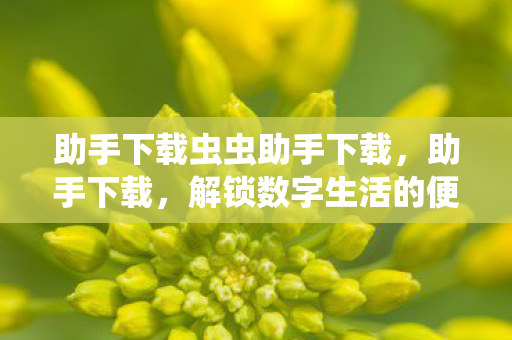 助手下载虫虫助手下载，助手下载，解锁数字生活的便捷钥匙