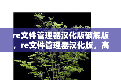 re文件管理器汉化版破解版,re文件管理器汉化版,高效文件管理新体验 re文件管理器汉化版破解版,re文件管理器汉化版,高效文件管理新体验