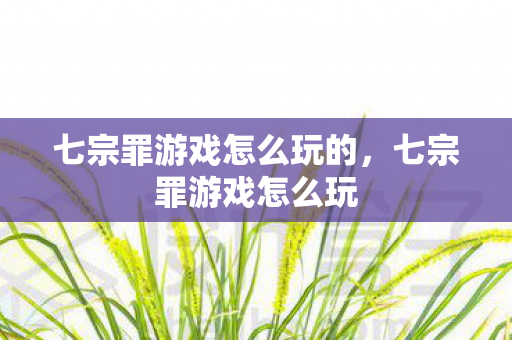 七宗罪游戏怎么玩的，七宗罪游戏怎么玩