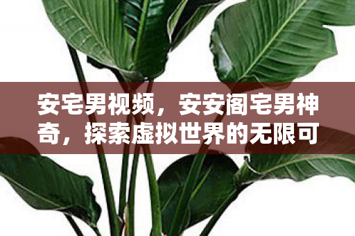 安宅男视频，安安阁宅男神奇，探索虚拟世界的无限可能