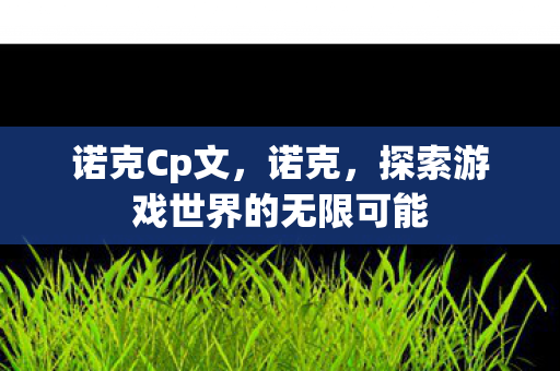 诺克Cp文，诺克，探索游戏世界的无限可能
