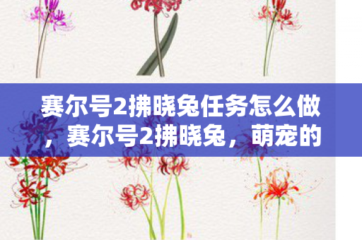 赛尔号2拂晓兔任务怎么做，赛尔号2拂晓兔，萌宠的奇妙冒险