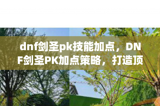 dnf剑圣pk技能加点,DNF剑圣PK加点策略,打造顶尖PK角色的关键 dnf剑圣pk技能加点,DNF剑圣PK加点策略,打造顶尖PK角色的关键