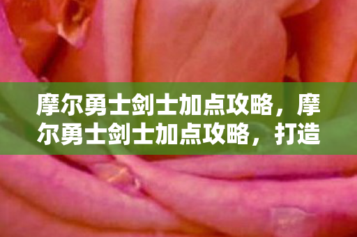 摩尔勇士剑士加点攻略，摩尔勇士剑士加点攻略，打造最强战斗力的关键