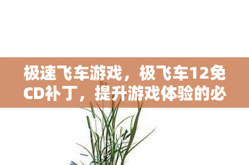 极速飞车游戏，极飞车12免CD补丁，提升游戏体验的必备神器