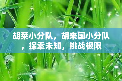 胡莱小分队,胡来国小分队,探索未知,挑战极限 胡莱小分队,胡来国小分队,探索未知,挑战极限