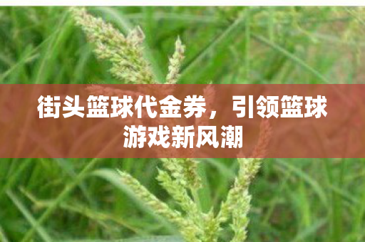 街头篮球代金券，引领篮球游戏新风潮