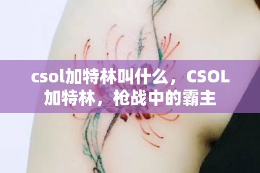 csol加特林叫什么，CSOL加特林，枪战中的霸主