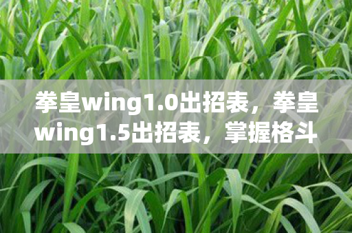 拳皇wing1.0出招表，拳皇wing1.5出招表，掌握格斗精髓，释放终极技能