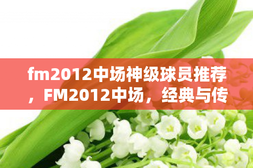 fm2012中场神级球员推荐，FM2012中场，经典与传承的足球指挥官