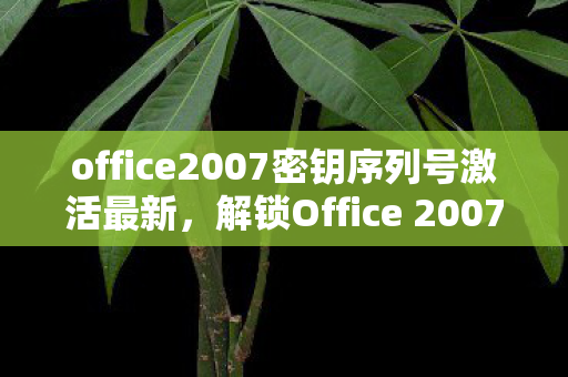 office2007密钥序列号激活最新,解锁Office 2007,合法密钥与高效办公的秘诀 office2007密钥序列号激活最新,解锁Office 2007,合法密钥与高效办公的秘诀