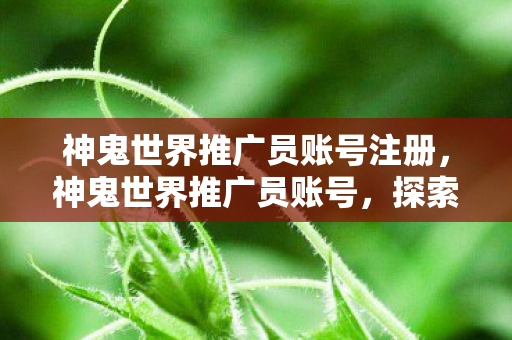 神鬼世界推广员账号注册，神鬼世界推广员账号，探索奇幻世界的奇妙之旅