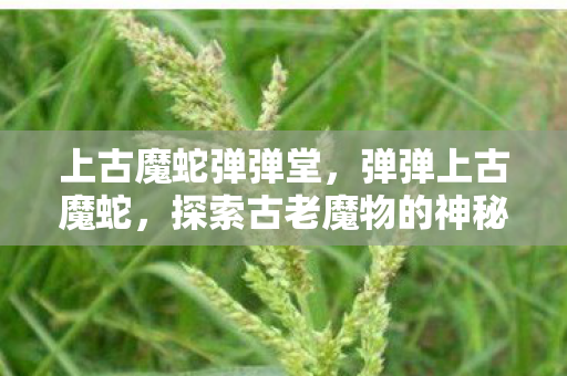 上古魔蛇弹弹堂,弹弹上古魔蛇,探索古老魔物的神秘传说 上古魔蛇弹弹堂,弹弹上古魔蛇,探索古老魔物的神秘传说