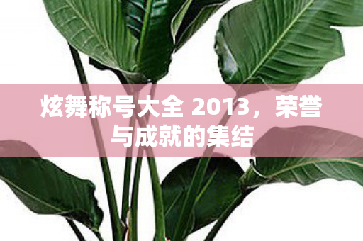 炫舞称号大全 2013，荣誉与成就的集结