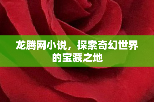 龙腾网小说,探索奇幻世界的宝藏之地 龙腾网小说,探索奇幻世界的宝藏之地