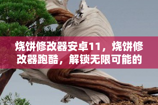 烧饼修改器安卓11,烧饼修改器跑酷,解锁无限可能的冒险之旅 烧饼修改器安卓11,烧饼修改器跑酷,解锁无限可能的冒险之旅
