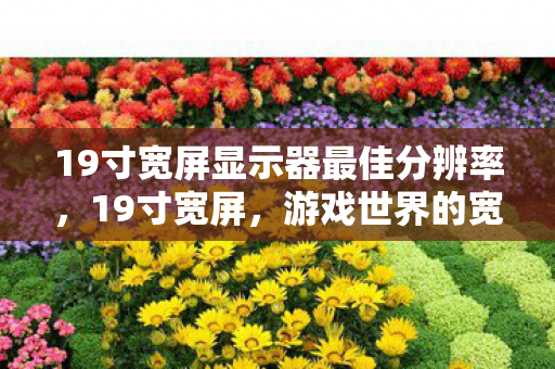 19寸宽屏显示器最佳分辨率，19寸宽屏，游戏世界的宽广视野与无限可能