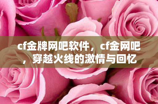 cf金牌网吧软件，cf金网吧，穿越火线的激情与回忆