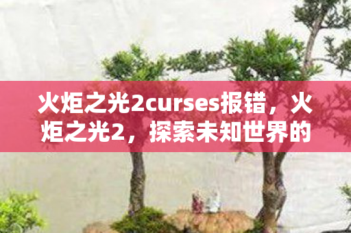 火炬之光2curses报错，火炬之光2，探索未知世界的无尽魅力