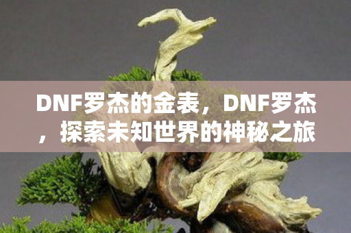 DNF罗杰的金表，DNF罗杰，探索未知世界的神秘之旅