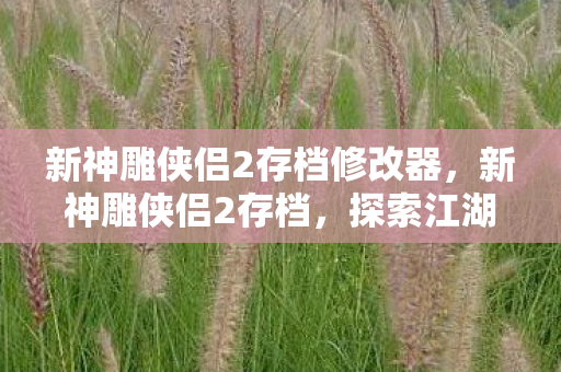 新神雕侠侣2存档修改器，新神雕侠侣2存档，探索江湖新篇章