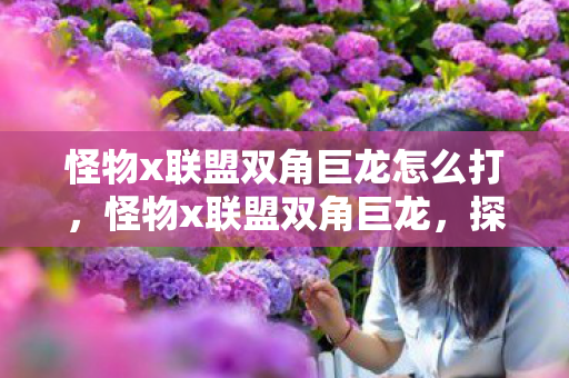 怪物x联盟双角巨龙怎么打，怪物x联盟双角巨龙，探索与征服的传奇之旅